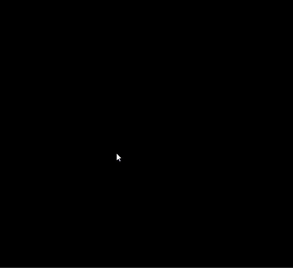 Schermo nero su Windows 11 - possibili soluzioni