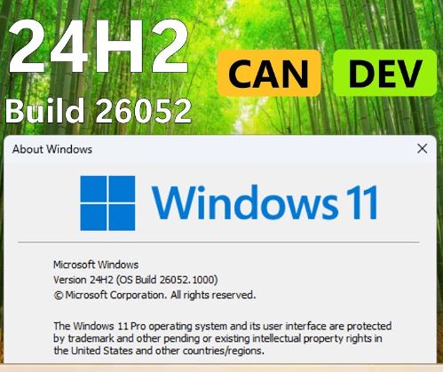 Windows 11 Build 26052: Novità per Sviluppatori e Utenti