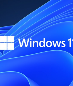 Windows 11