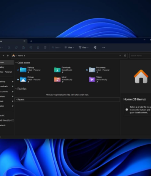 Windows 11 Esplora File