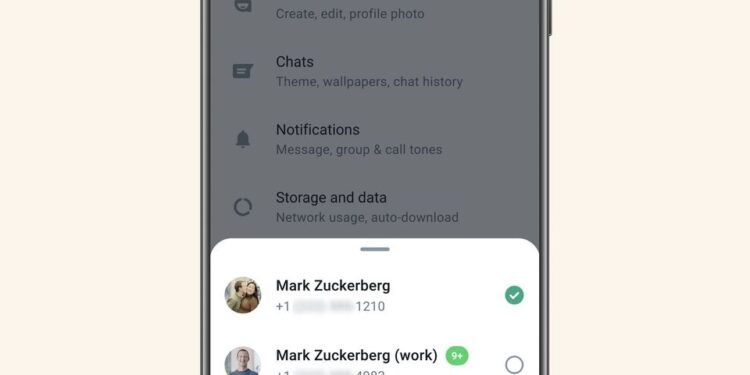 Dual Account WhatsApp