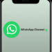 Whatsapp Channel
