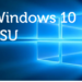 Programma ESU di Windows 10